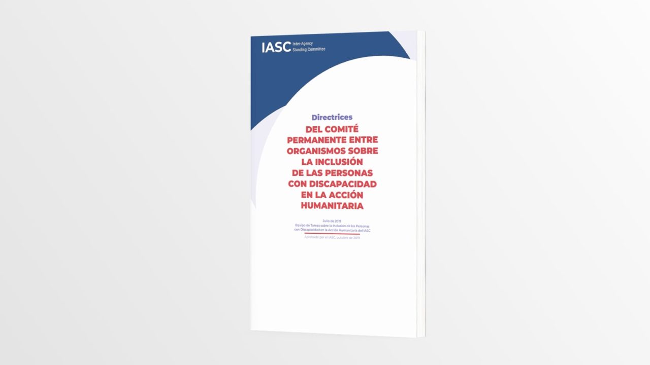 Version of the Spanish IASC Guidelines