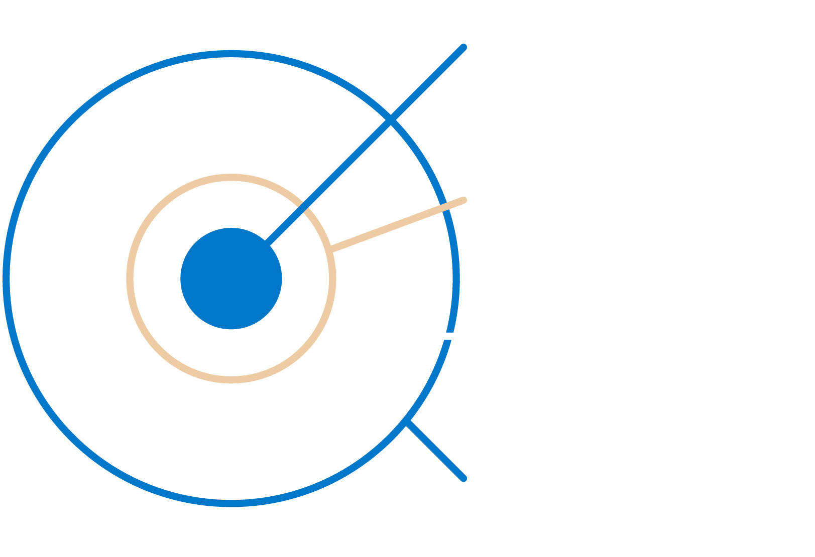 Die Infografik stellt die Zielgruppe als Zielkreis dar. Der innerste Kreis und damit die wichtigste Zielgruppe sind die staatlichen und zivilgesellschaftlichen Akteure. Der nächste Kreis bildet die lokalen Akteure, danach die Studierenden und zuletzt die breite humanitäre Gemeinschaft als äußerster Kreis. Infografik zur Zielgruppe