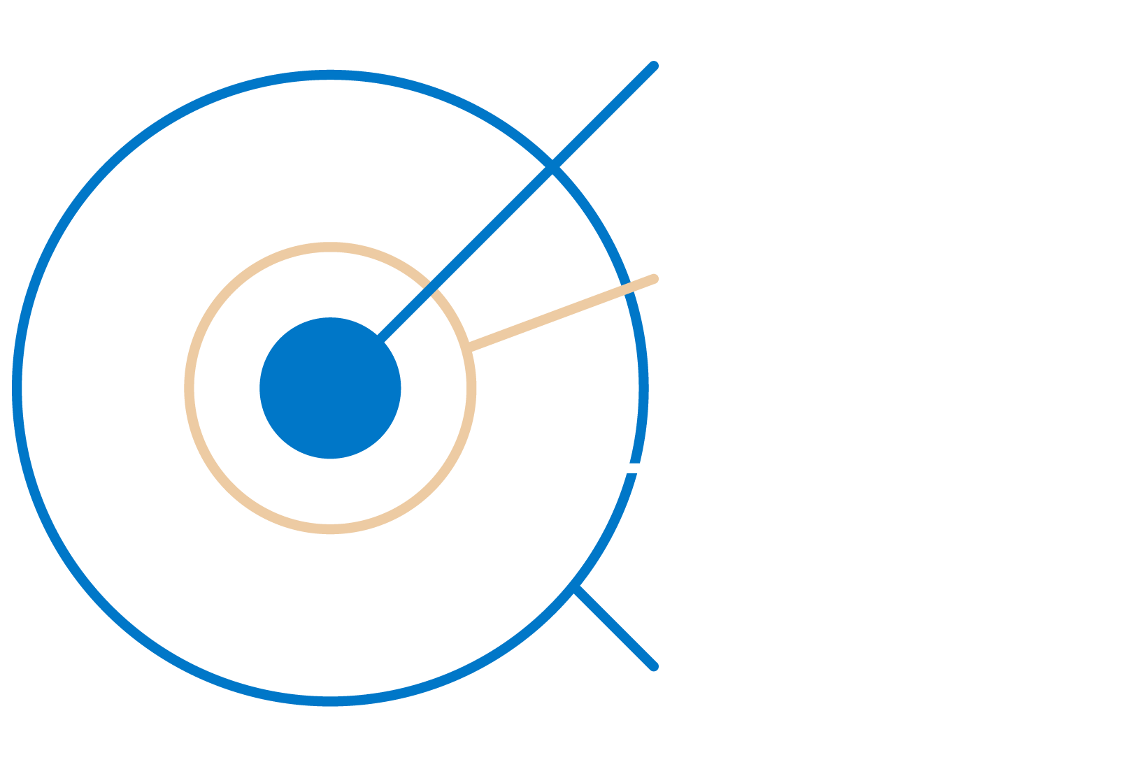 The target group infographic